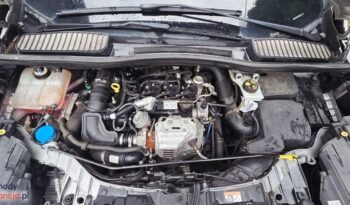 Ford Grand C-MAX 1.0 EcoBoost Start-Stopp-System Ambiente full