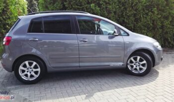 Volkswagen Golf Plus 2.0 TDI DPF DSG Life full