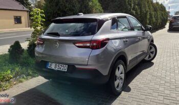 Opel Grandland X 1.2 Start/Stop Automatik Dynamic full
