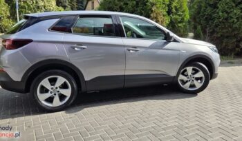Opel Grandland X 1.2 Start/Stop Automatik Dynamic full