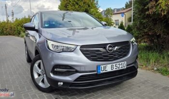 Opel Grandland X 1.2 Start/Stop Automatik Dynamic full