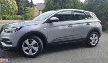 Opel Grandland X 1.2 Start/Stop Automatik Dynamic full