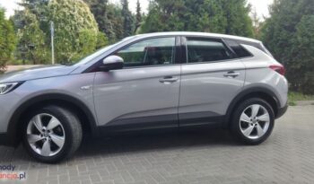 Opel Grandland X 1.2 Start/Stop Automatik Dynamic full