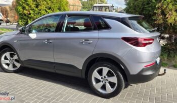 Opel Grandland X 1.2 Start/Stop Automatik Dynamic full