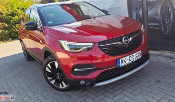 Opel Grandland X 2.0 D Start/Stop Automatik Business Innovation full