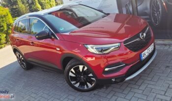 Opel Grandland X 2.0 D Start/Stop Automatik Business Innovation full