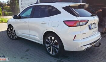 Ford Kuga full