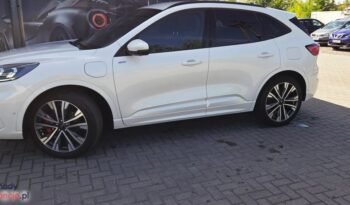 Ford Kuga full
