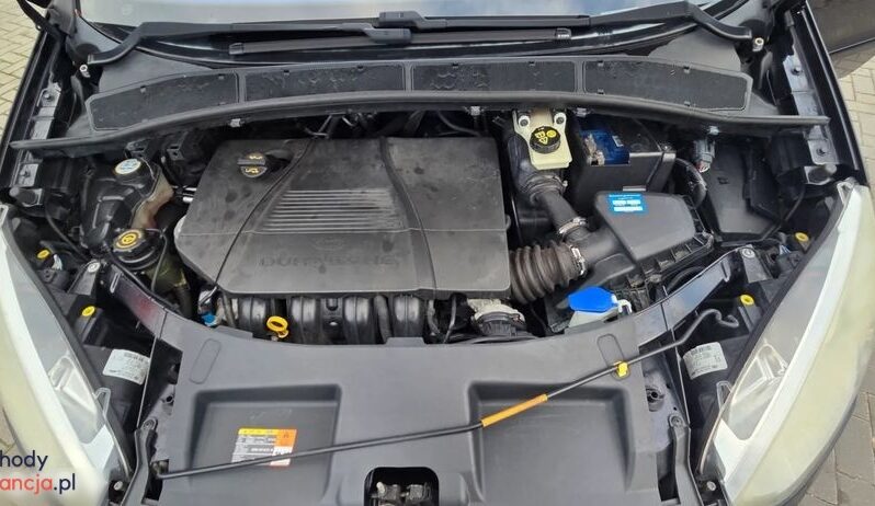 Ford S-Max 2.0 FF Platinium X full