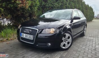 Audi A3 Sportback 2.0 TDI DPF Quattro Attraction full