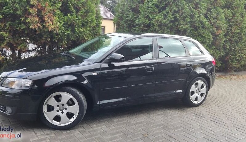 Audi A3 Sportback 2.0 TDI DPF Quattro Attraction full