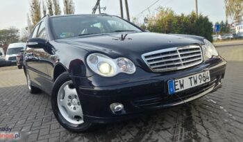 Mercedes-Benz Klasa C Kombi [S 203] 04-07 full