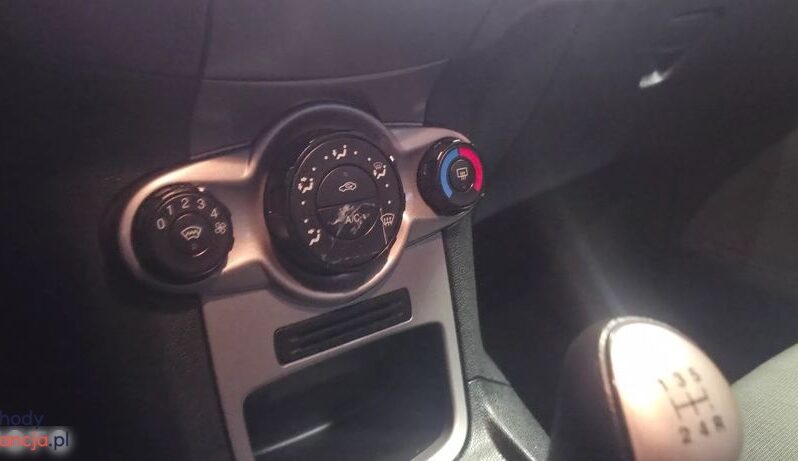 Ford Fiesta 1.25 Amber X full