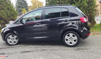 Volkswagen Golf Plus 1.6 TDI DPF Comfortline full