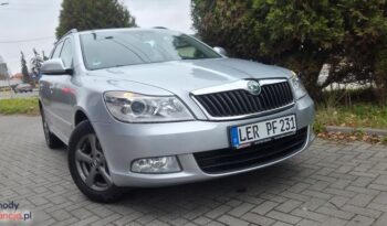 Skoda Octavia Combi 1.6 TDI DPF FAMILY full
