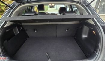 Kia Stonic 1.0 T-GDI OPF Platinum Edition full