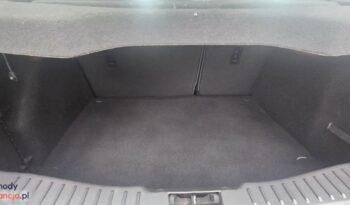 Ford Focus 1.0 EcoBoost Start-Stopp-System Champions Edition full