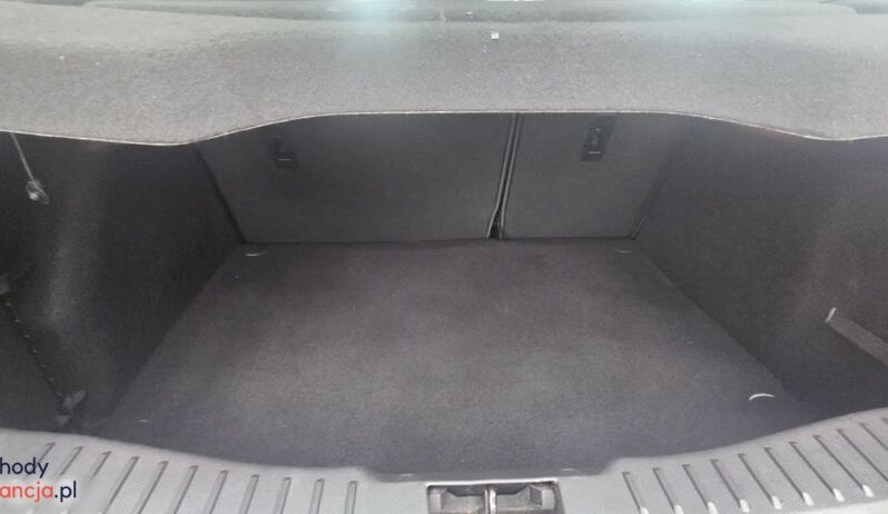 Ford Focus 1.0 EcoBoost Start-Stopp-System Champions Edition full