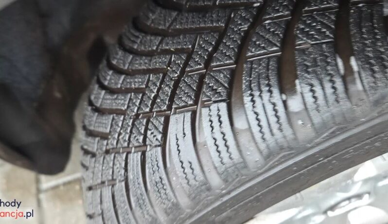 Opel Insignia 2.0 CDTI Cosmo full