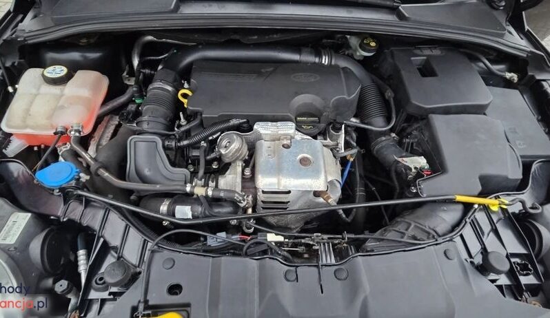 Ford Focus 1.0 EcoBoost Start-Stopp-System Champions Edition full
