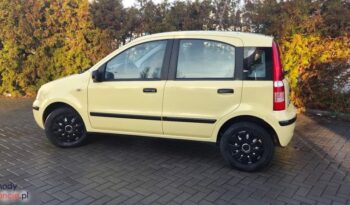 Fiat Panda 1.1 Young full