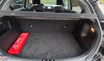 Kia Rio 1.0 T-GDI 120 Platinum Edition full